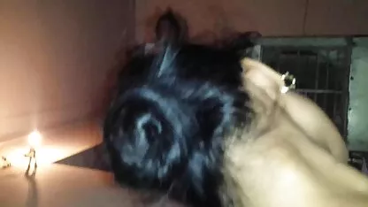 raisa-एलन सेक्सी मूवी वीडियो इंग्लिश