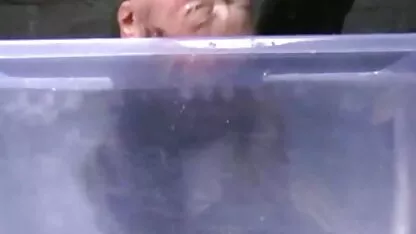 UPSKIRT KING 246 सेक्सी बीएफ इंग्लिश फिल्म